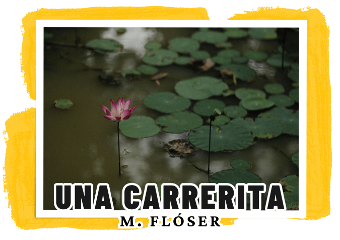 En la imagen vemos la superficie calma del agua de un pantano, con nenúfares y flores rosas que emergen del agua. Vemos, además, reflejadas, las copas de los árboles, altos, que casi ocultan el sol. El relato se titula: “Una carrerita”.